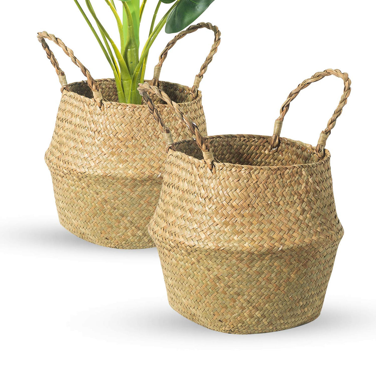 BrilliantJo seagrass front view showing shape and warm tones for decor
