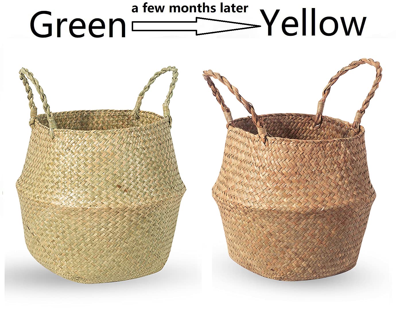 BrilliantJo basket next to ruler for size comparison and fit clarity