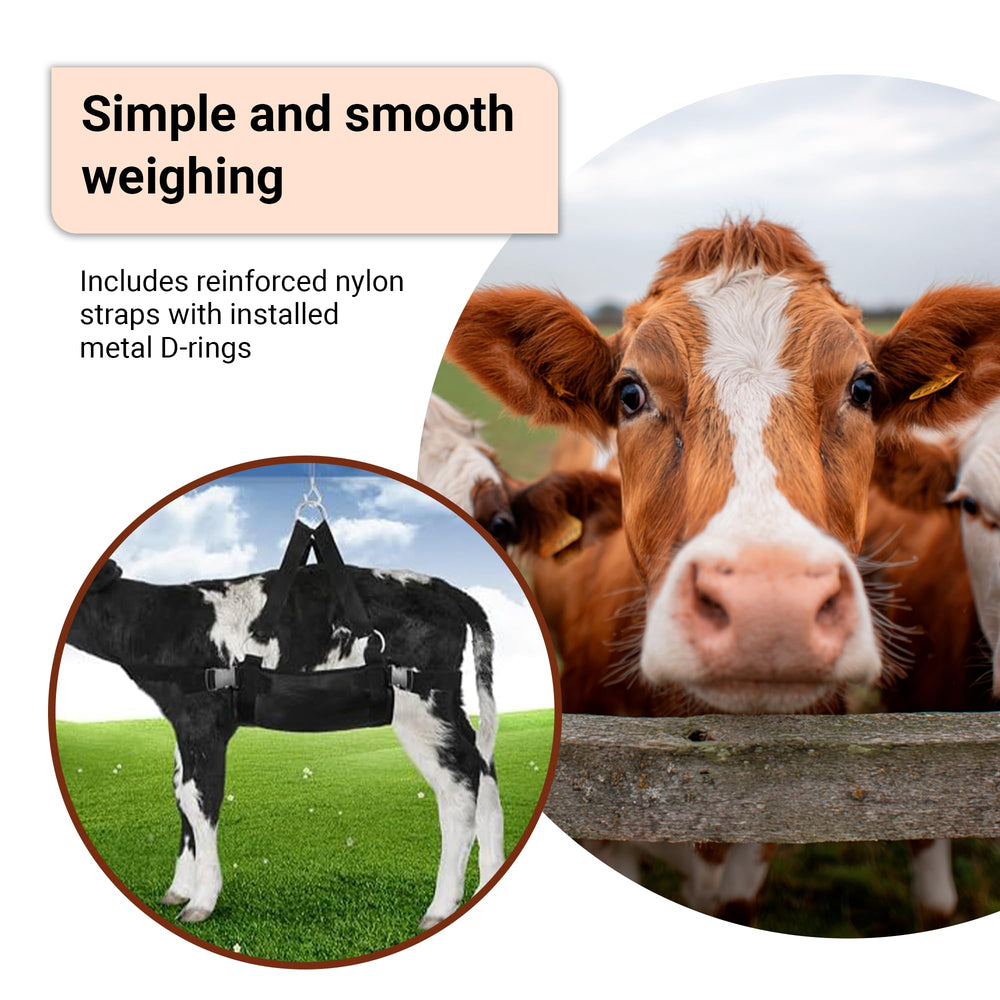 BRINGERPET sling hooked to a hanging scale for accurate livestock weighing
