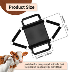 BRINGERPET close-up of reinforced stitching and heavy 1800D fabric for durability