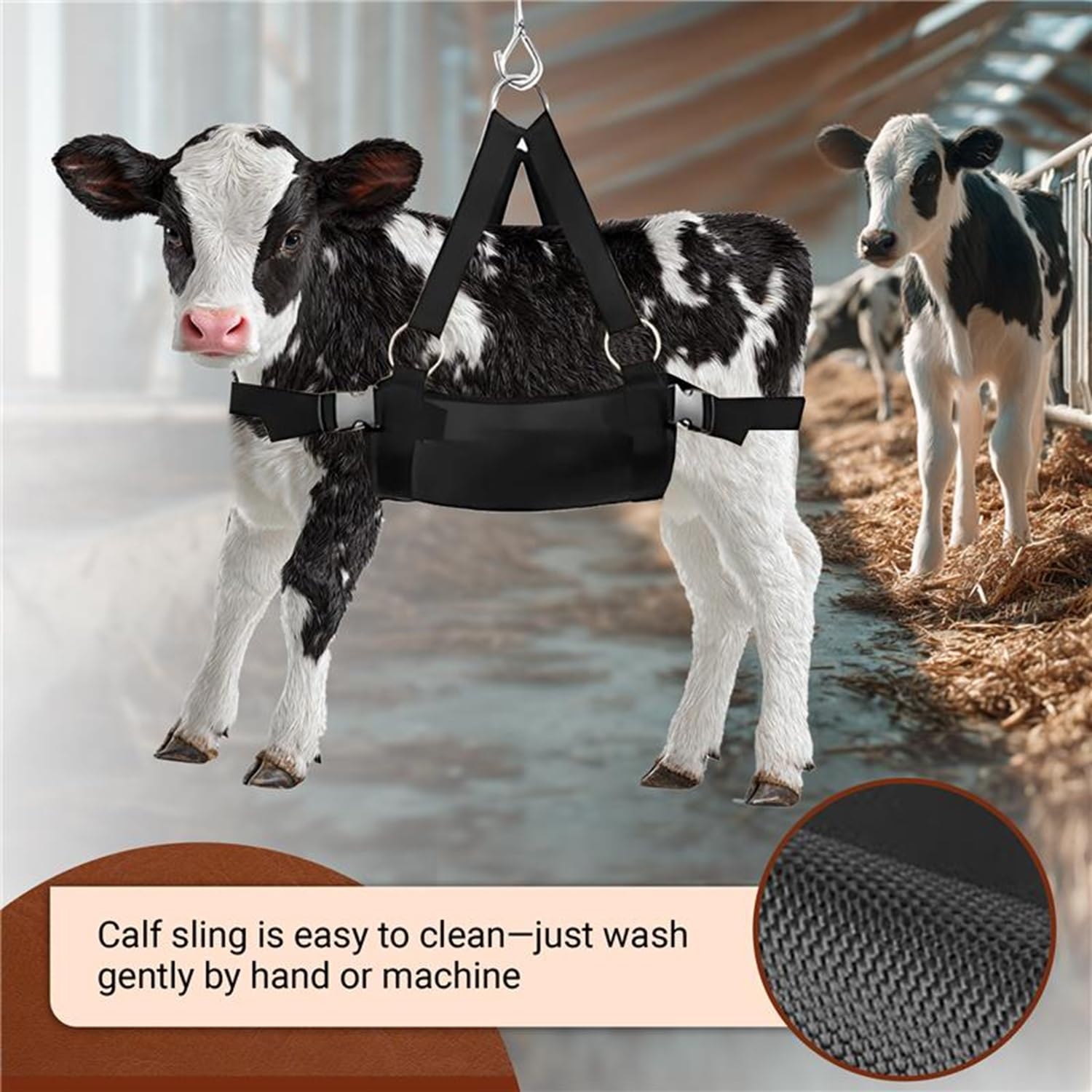 BRINGERPET sling supporting a calf for hands-free hoof trimming and grooming