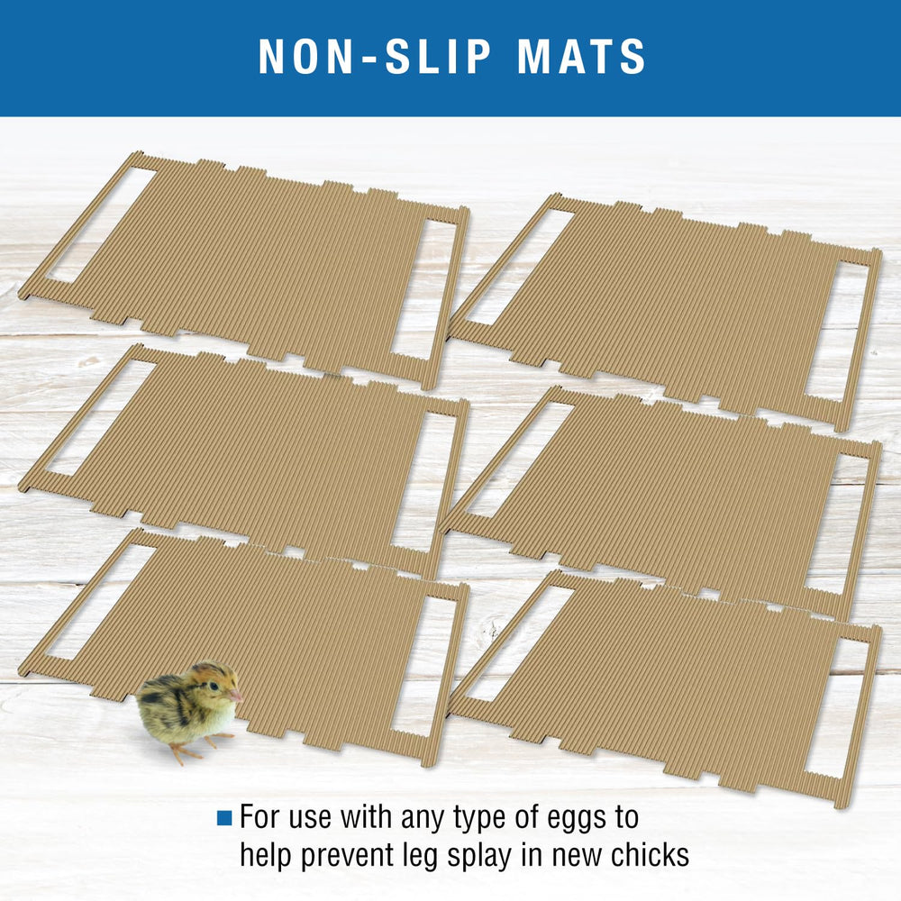 Brinsea mat with newly hatched chicks demonstrating better footing and stability