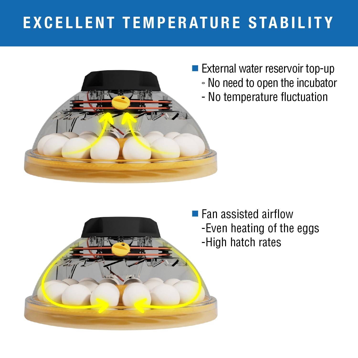 brinsea Maxi 24 EX clear dome revealing eggs inside for disturbance-free observation