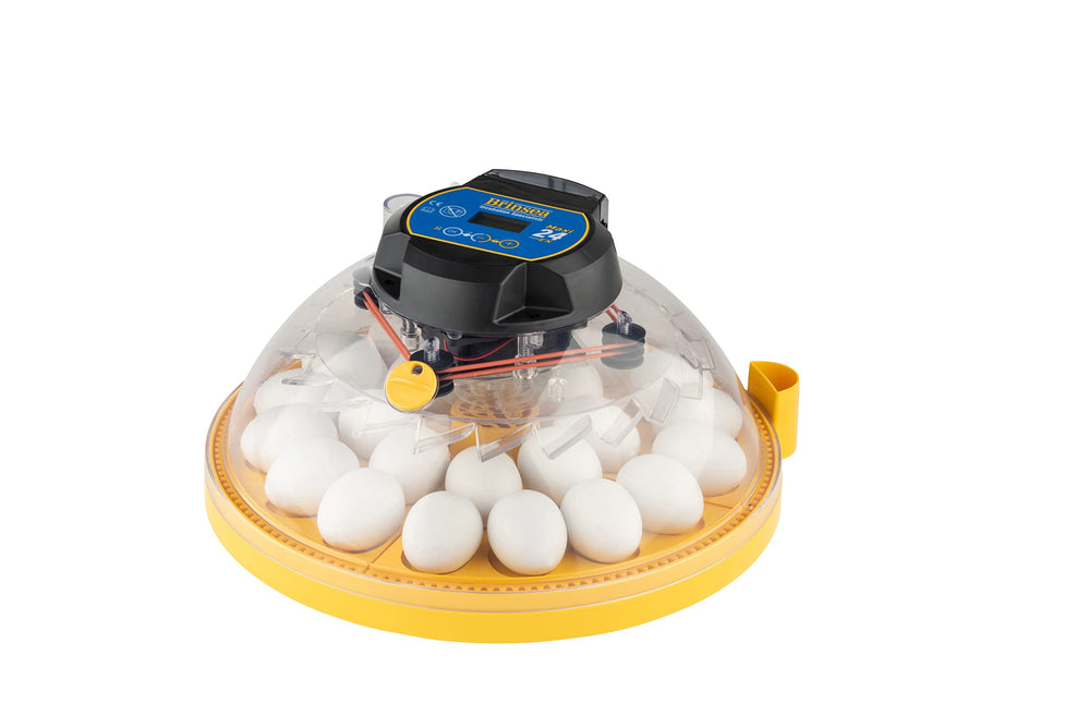 brinsea Maxi 24 EX front view showing controls and clear dome for easy monitoring