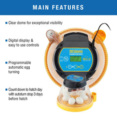 Brinsea Mini II clear dome detail offering easy visual monitoring benefit