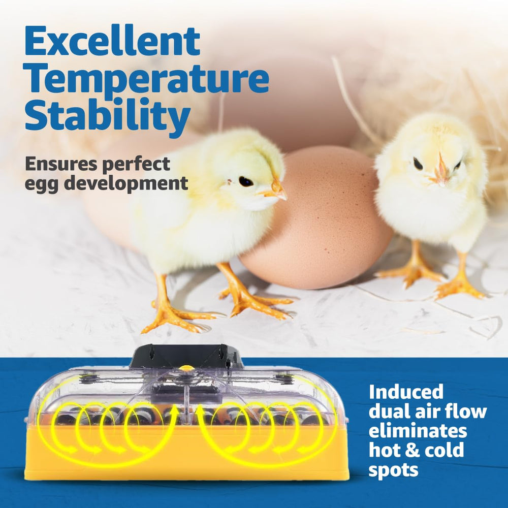 Brinsea airflow vent detail highlighting even circulation for consistent hatches