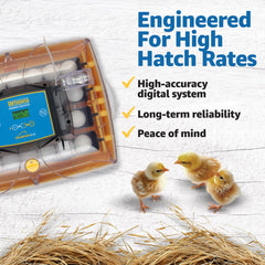 Brinsea clear top detail enabling observation without disturbing eggs