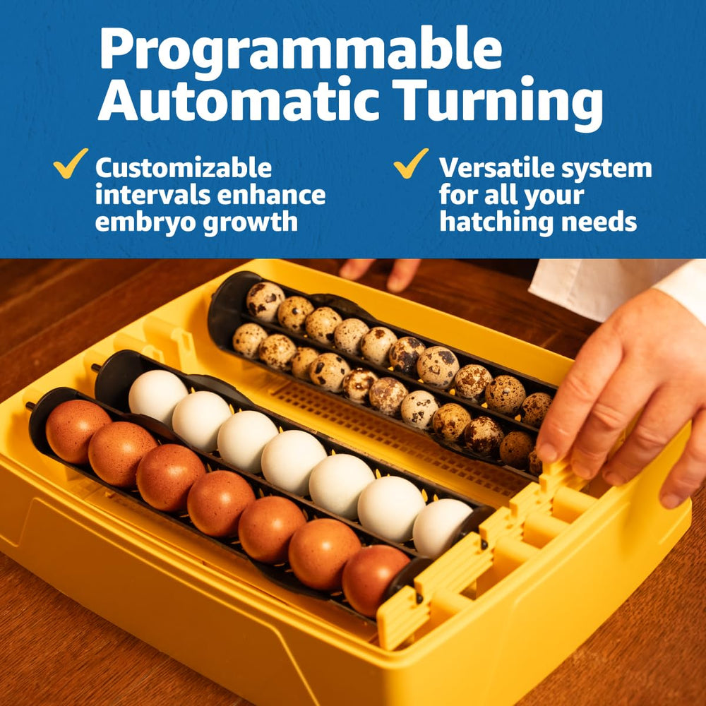 Brinsea incubator in classroom showing educational use and quiet operation