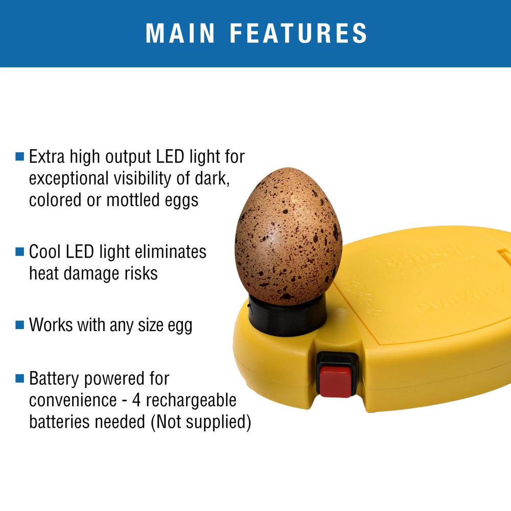 Brinsea OvaView close-up against mottled shell highlighting clearer embryo visibility benefit
