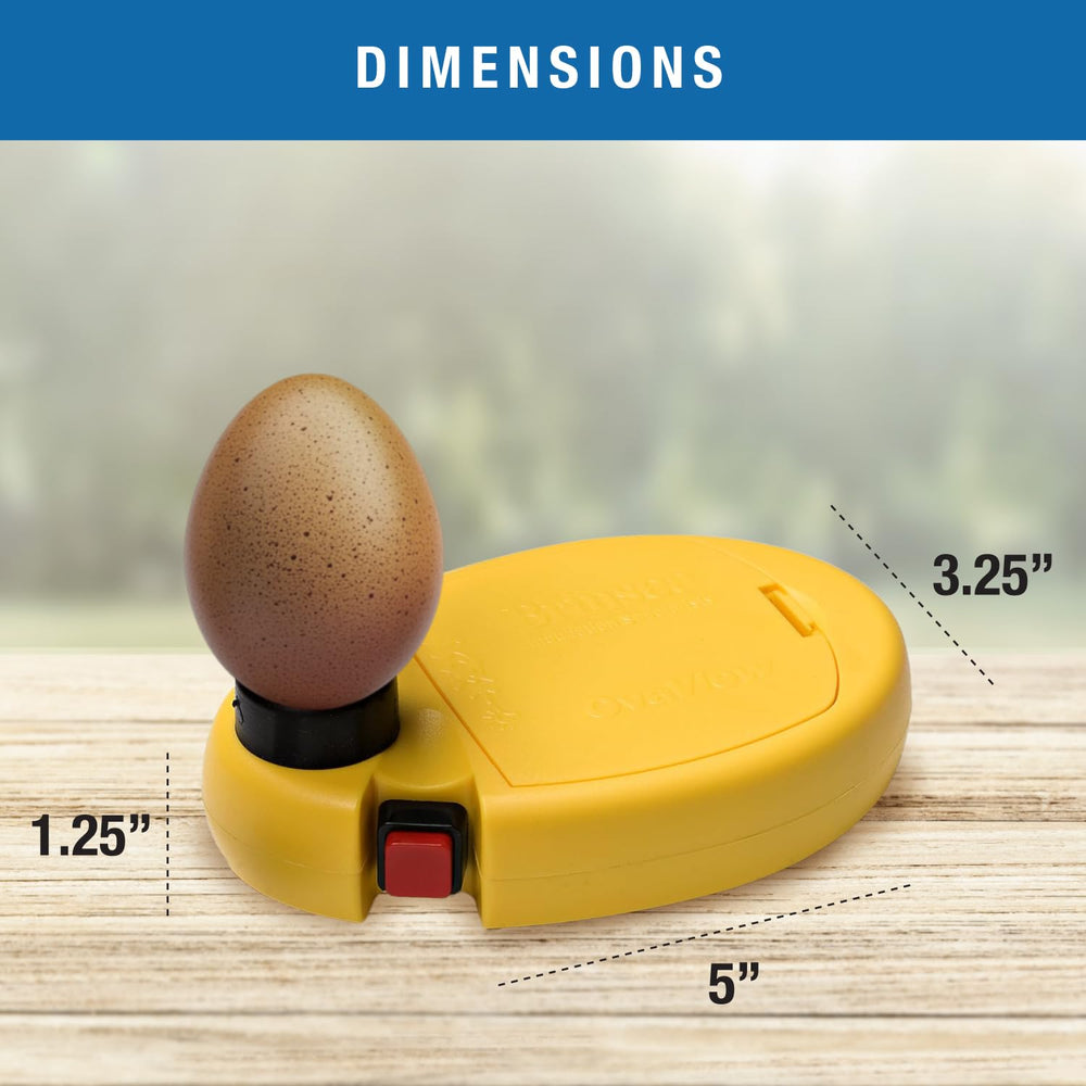 Brinsea OvaView candling quail eggs demonstrating improved visibility for small eggs