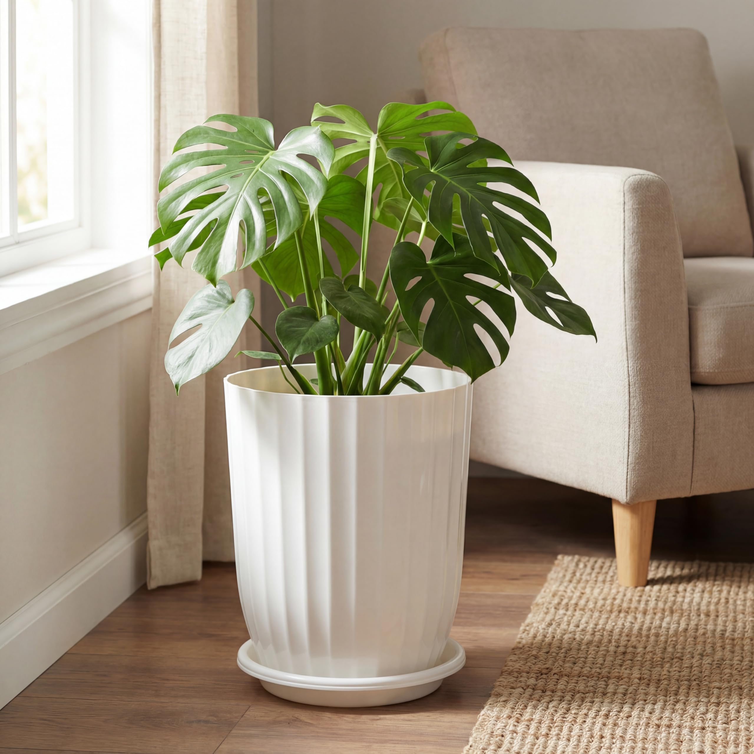 Briwooody styled in living room displaying versatile decor integration and height impact