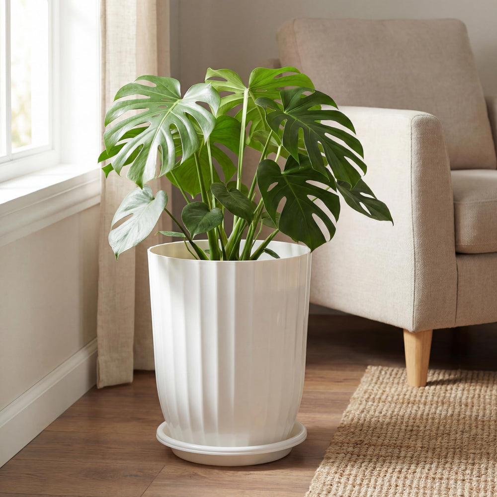 Briwooody styled in living room displaying versatile decor integration and height impact
