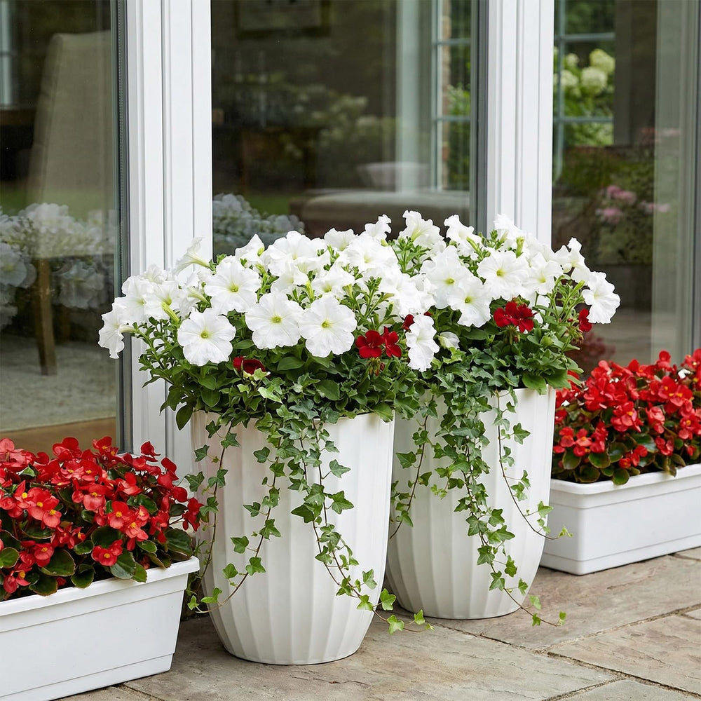 Briwooody on covered patio showing outdoor-ready durability and cohesive curb appeal