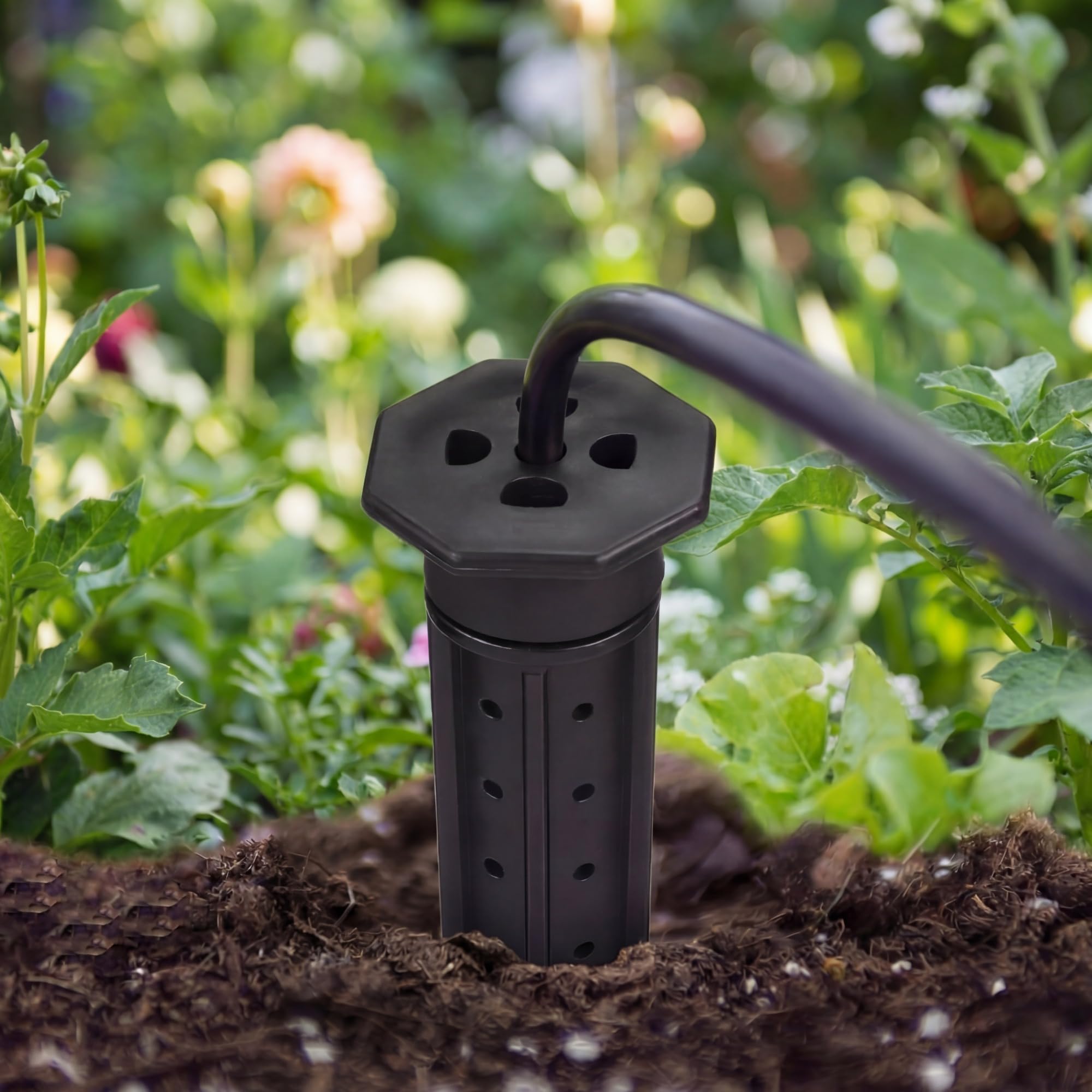 Briwooody stake connected to drip lines showing efficient automated irrigation benefit