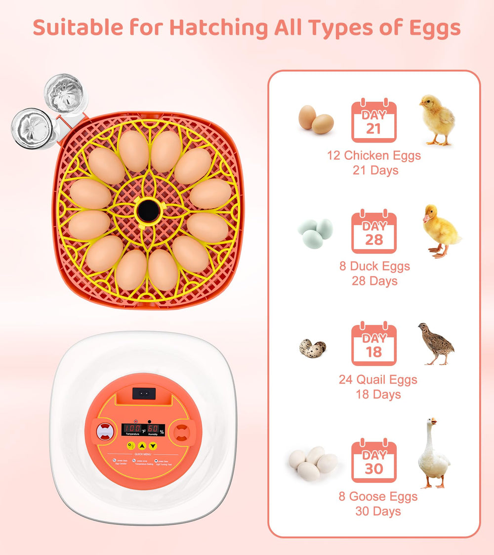 Brnvl automatic turning mechanism gently rotating eggs to improve hatch rates