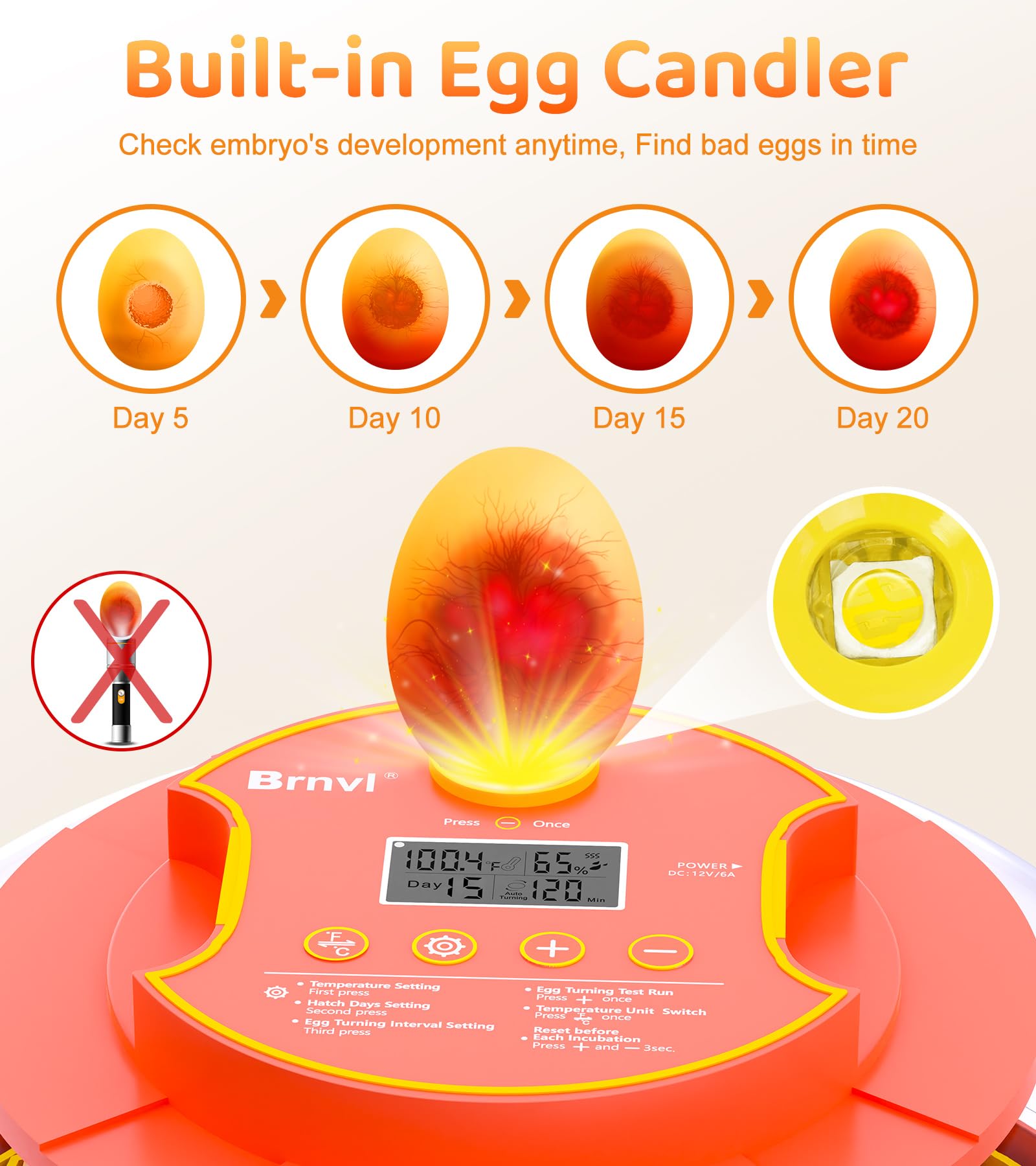 brnvl built-in candling light illuminating an egg interior for safe observation