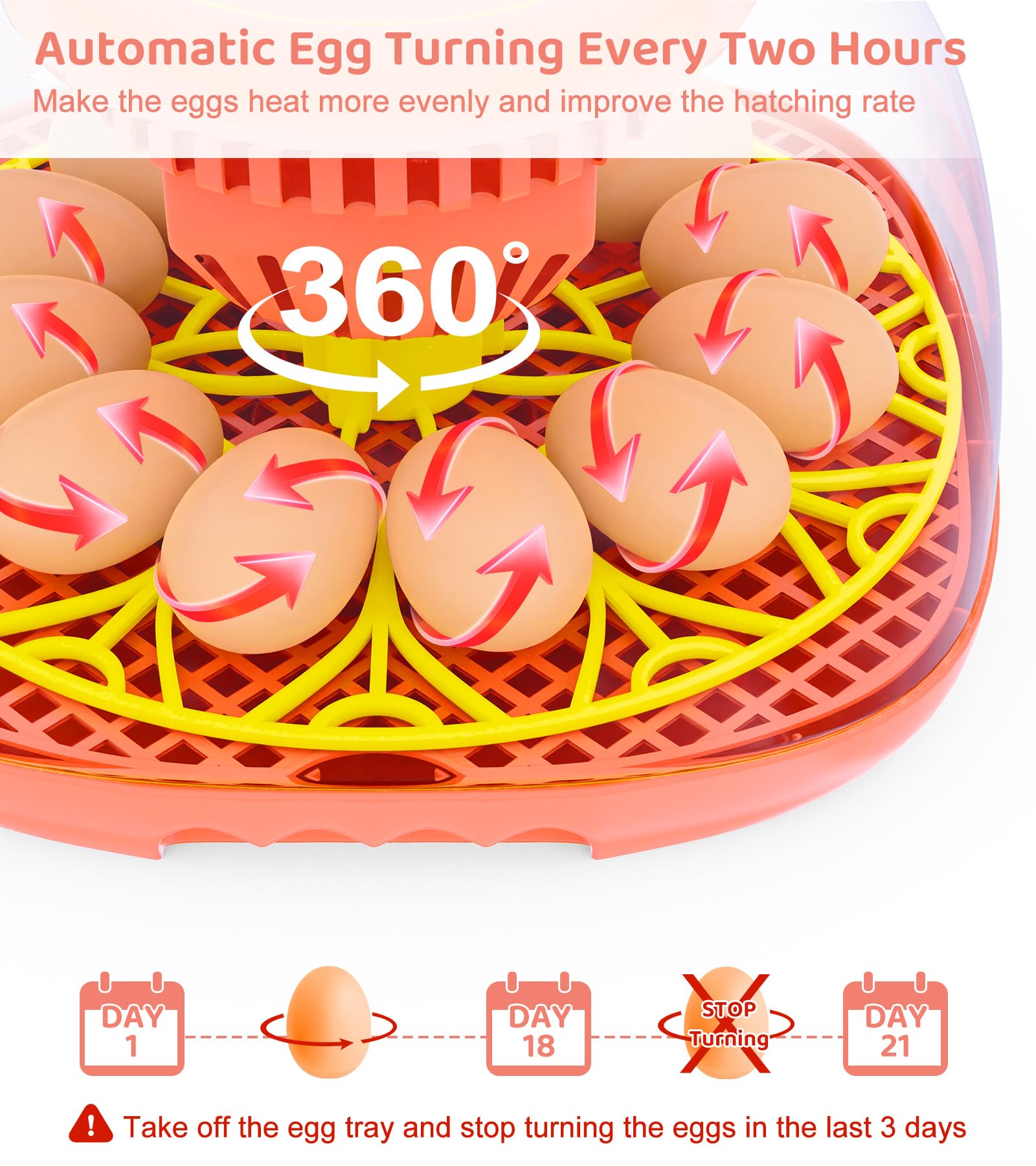 Brnvl egg tray loaded with eggs demonstrating multi-egg capacity and organization