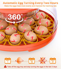 brnvl removable egg trays and inserts for chicken quail duck and goose versatility