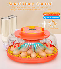 brnvl transparent top lid revealing full 360° egg visibility for easy monitoring