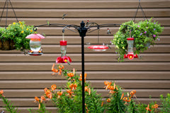 Brome BirdsUP installed in garden with four feeders, attracts more birds and saves lawn