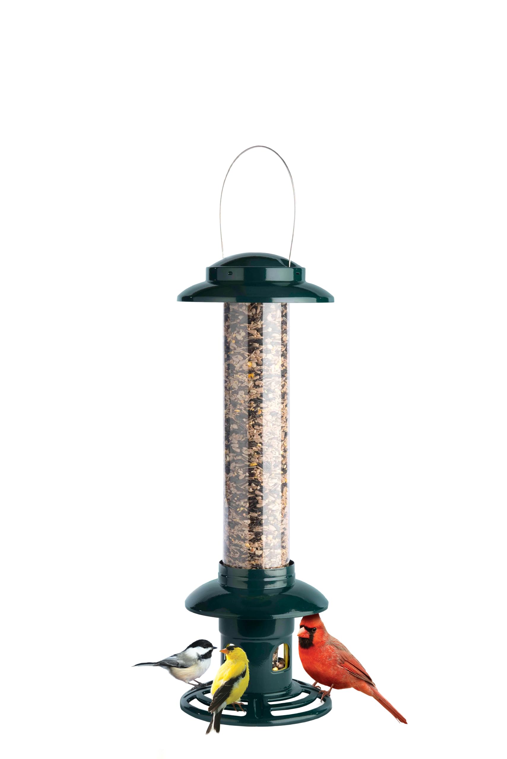 Brome Evolution front view in green showing feeder design and durable finish