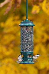 Brome Legacy metal perches and ports visible, supports small perching birds