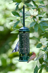 Brome Squirrel Buster Mini close-up of weight-activated shroud, deters squirrels effectively