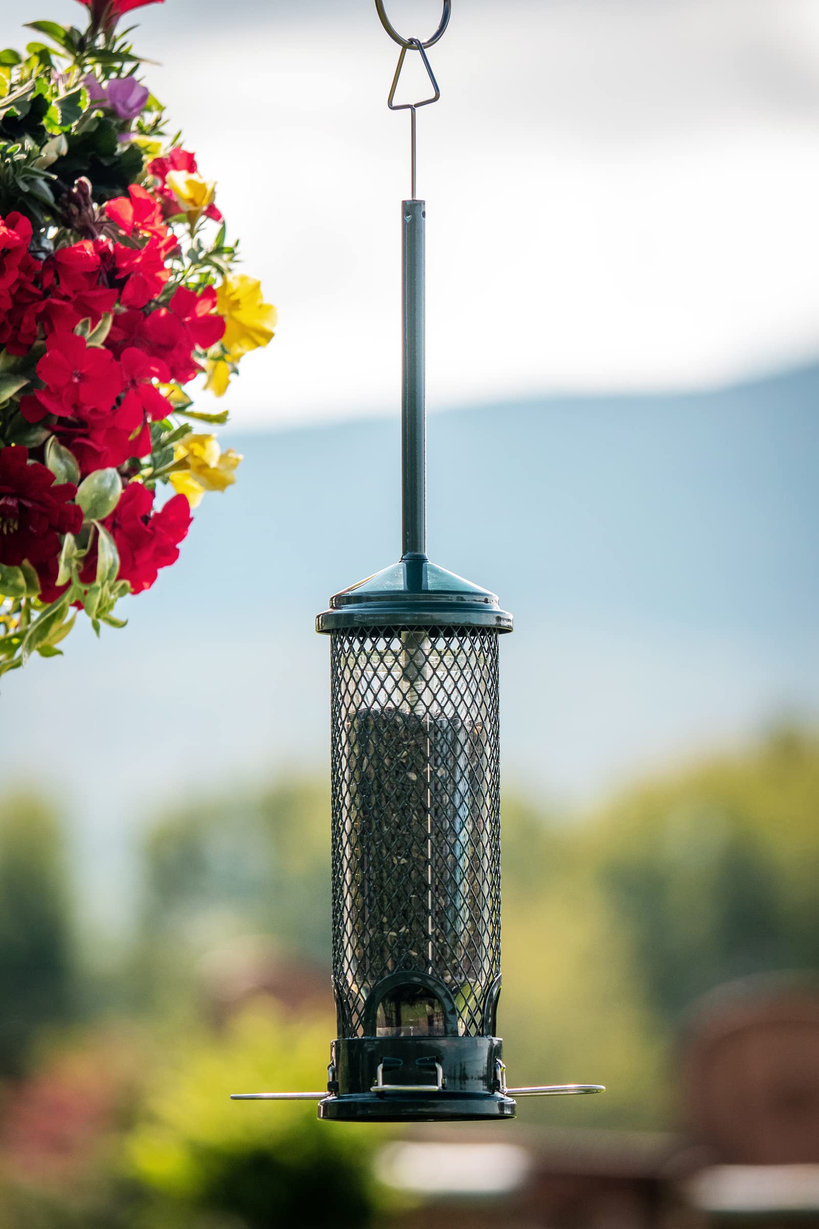 Brome Squirrel Buster Mini size comparison hanging by hand, ideal for small yards
