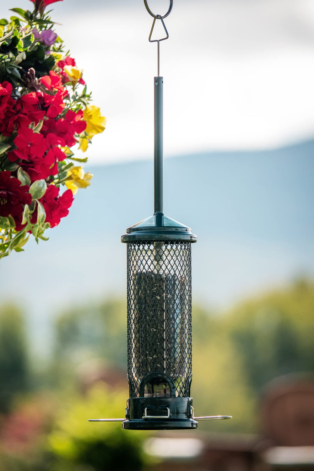 Brome Squirrel Buster Mini size comparison hanging by hand, ideal for small yards