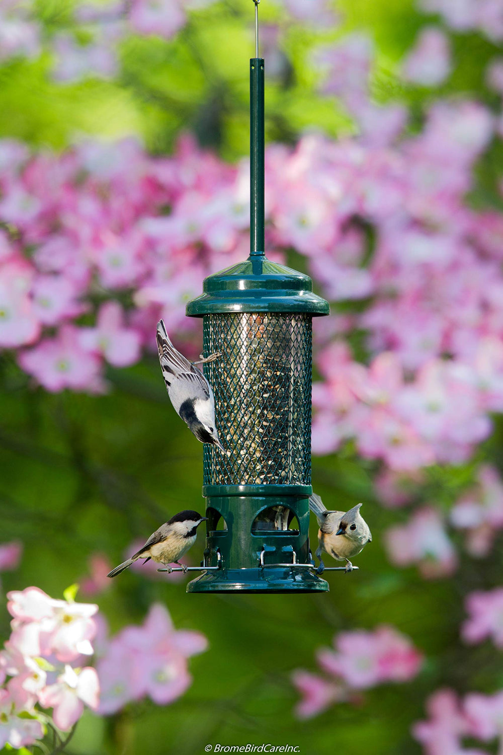 Brome Squirrel Buster close-up of metal perches highlighting durability and bird comfort