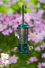 Brome Squirrel Buster close-up of metal perches highlighting durability and bird comfort
