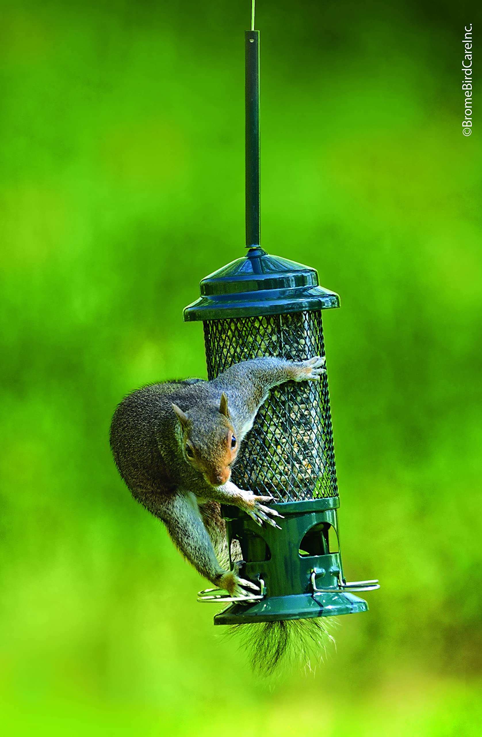 Brome Squirrel Buster hanging beside a ruler showing scale and easy-install benefit