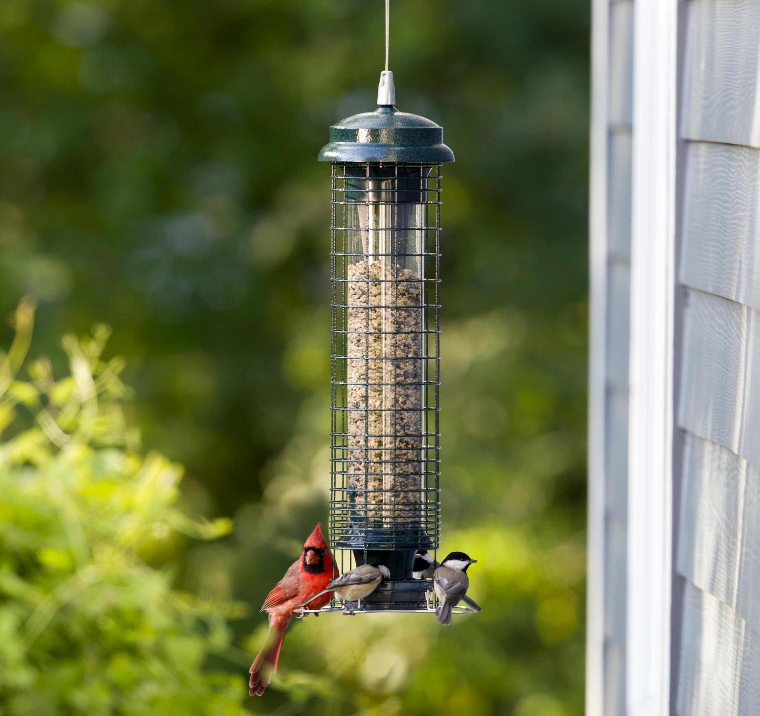 Brome stainless-steel perch detail for comfortable bird landing