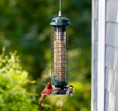 Brome stainless-steel perch detail for comfortable bird landing