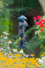 brome seed funnel beside feeder highlighting easy refilling and 3.4 lb capacity
