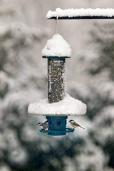 Brome Weather Guard installed on Squirrel Buster Plus with bird feeding benefit