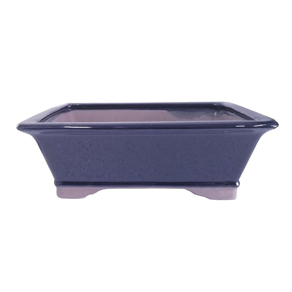 Brussel's Bonsai front view glazed rectangle planter showing elegant finish and display benefit