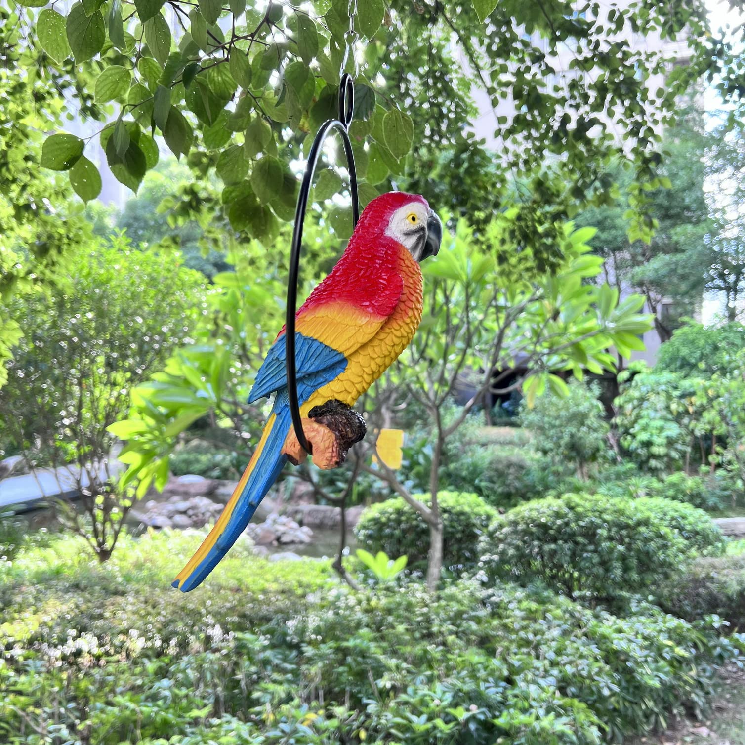 BSIRZAM parrot front view showing vibrant colors and curb appeal