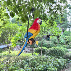 BSIRZAM parrot front view showing vibrant colors and curb appeal