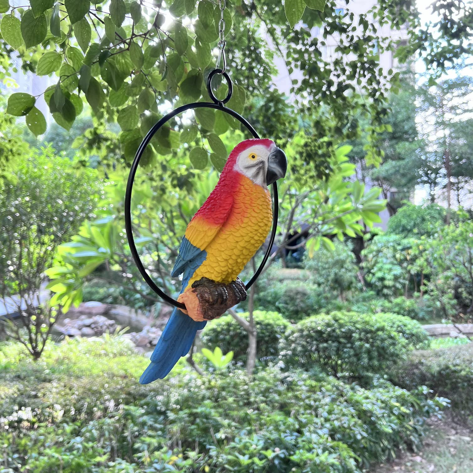 BSIRZAM parrot hanging on porch adding tropical charm and color