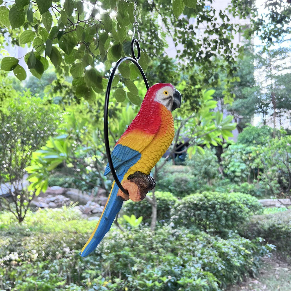 BSIRZAM parrot displayed poolside providing playful outdoor accent