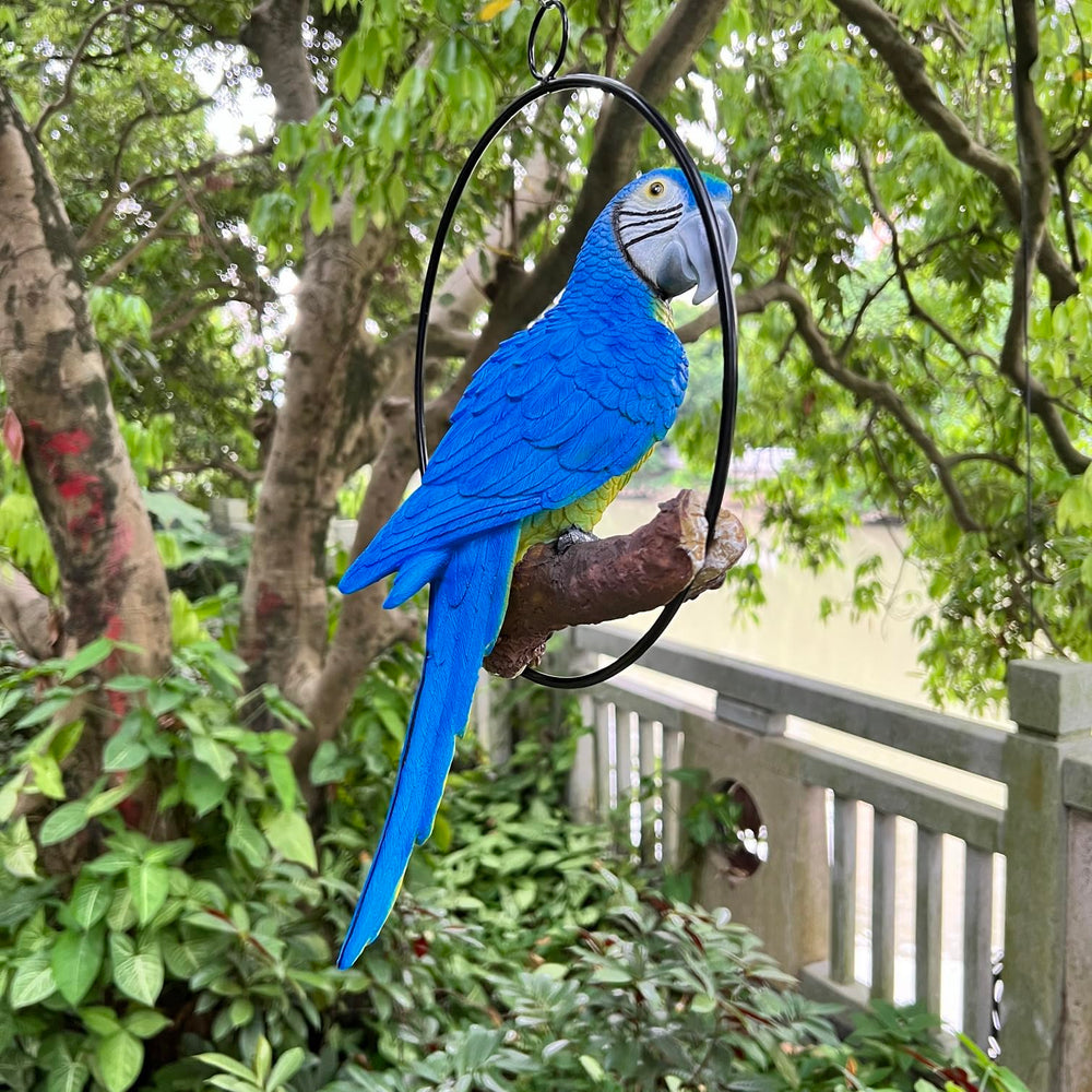BSIRZAM parrot beside chair to show scale and easy fit for porches or sunrooms