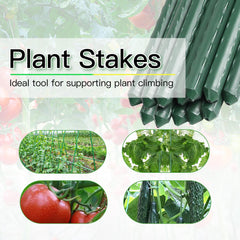 BSMOULFA stakes installed in tomato bed improving support and airflow