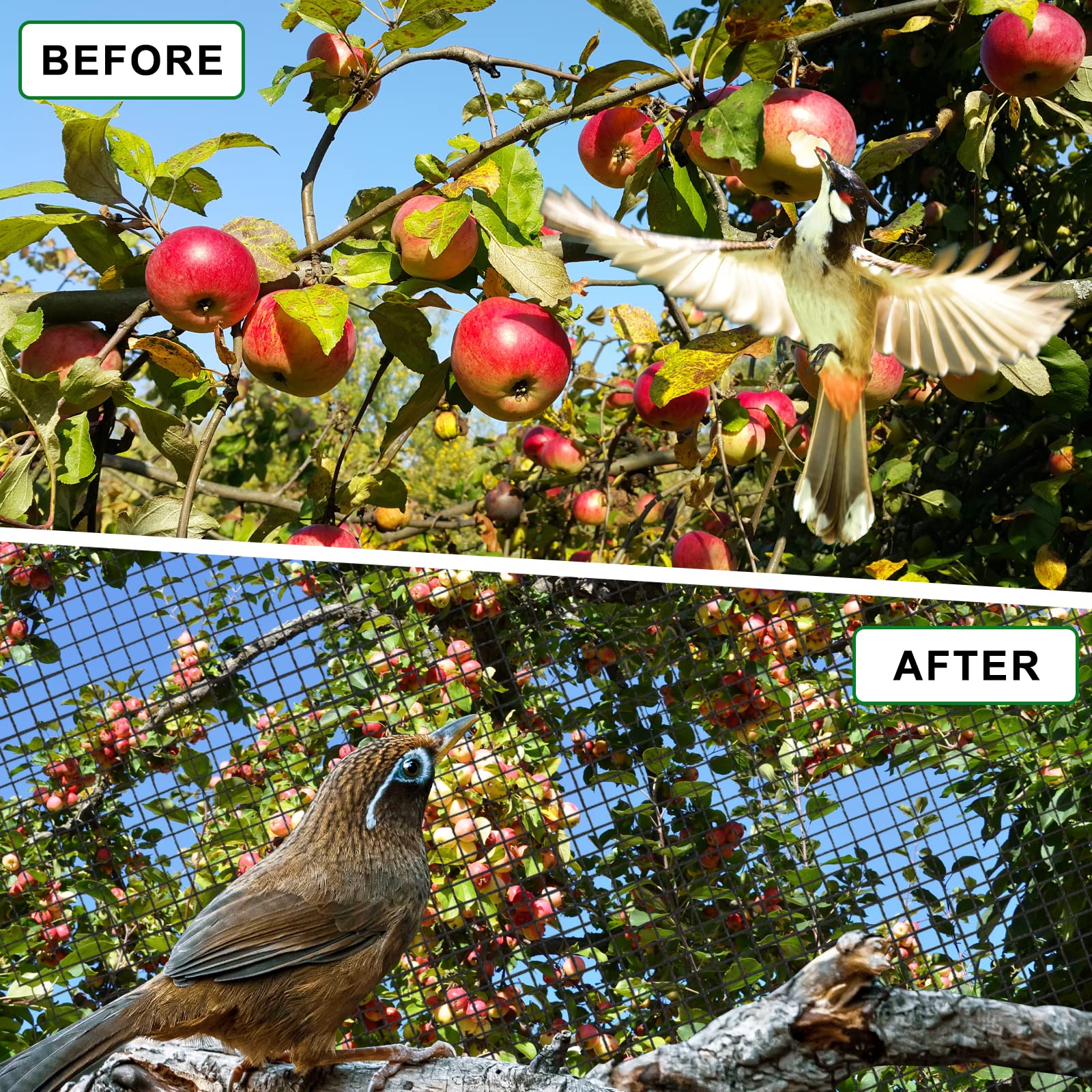 BSTPCOO net covering fruit trees, prevents bird damage for better harvests