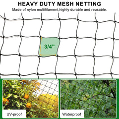 BSTPCOO net installed over chicken run protecting flock from raptors