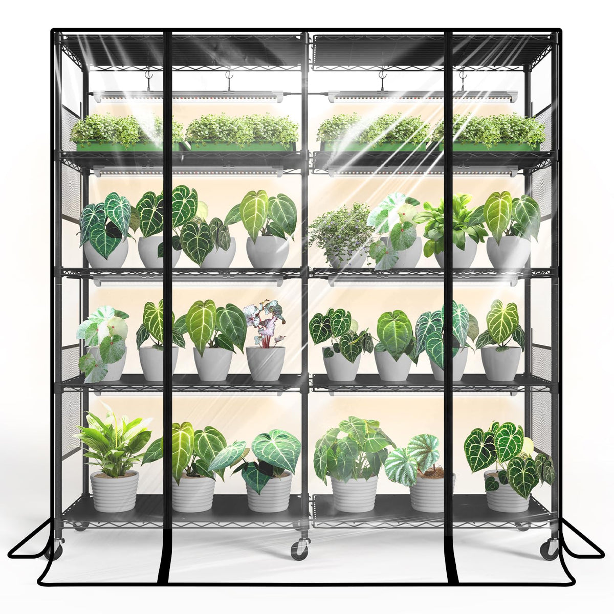 Bstrip front view assembled showing compact greenhouse and lighting benefit