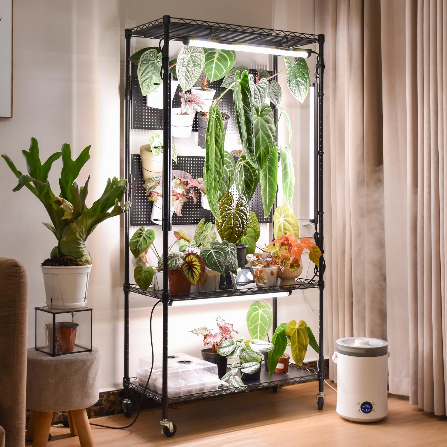 Bstrip front view of full shelving unit showing organized plants and lights