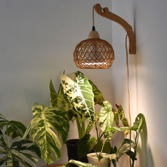 Bstrip hanging grow light front view showing rattan shade and warm illumination for plants