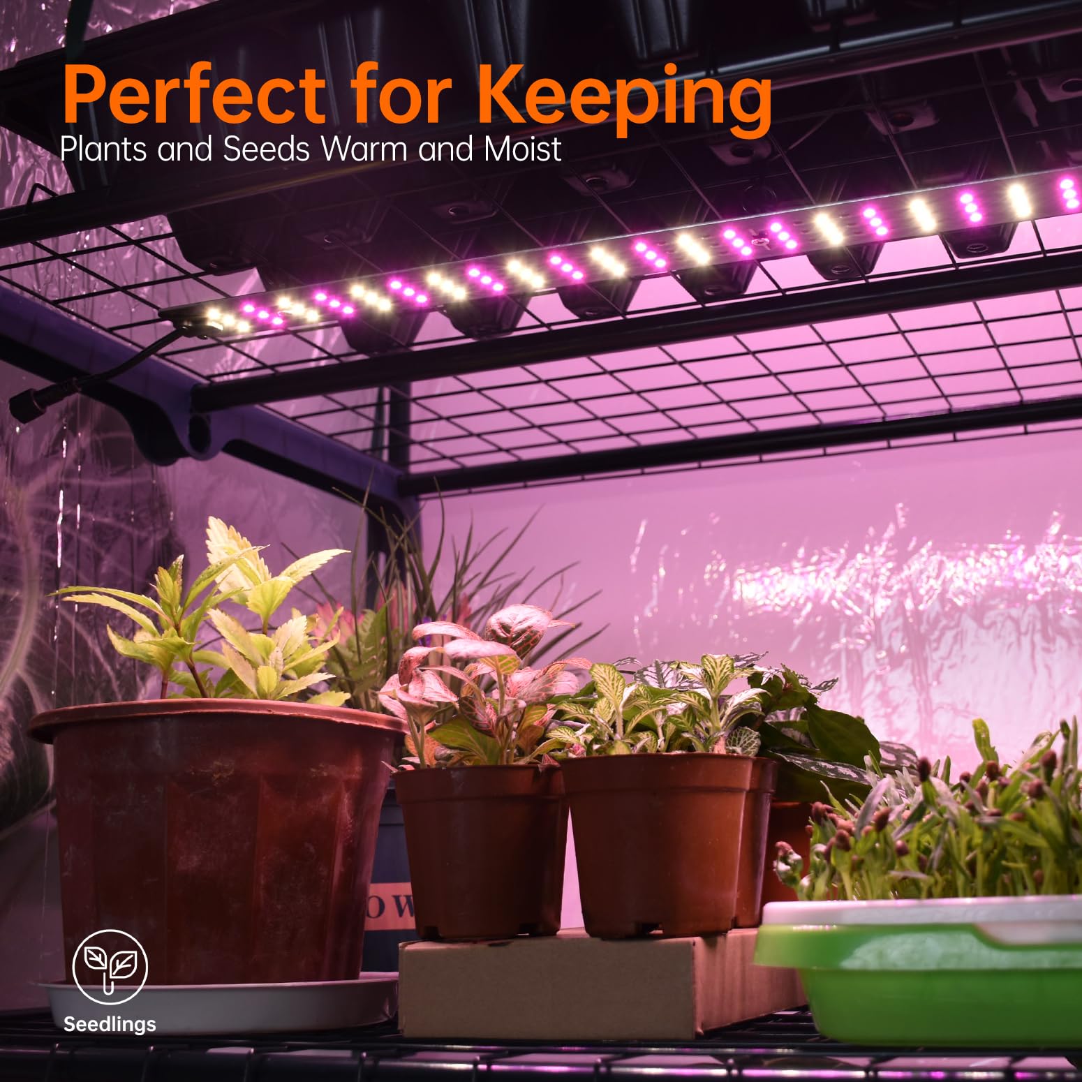 Bstrip zippered PVC cover open to reveal plants and allow quick access and ventilation