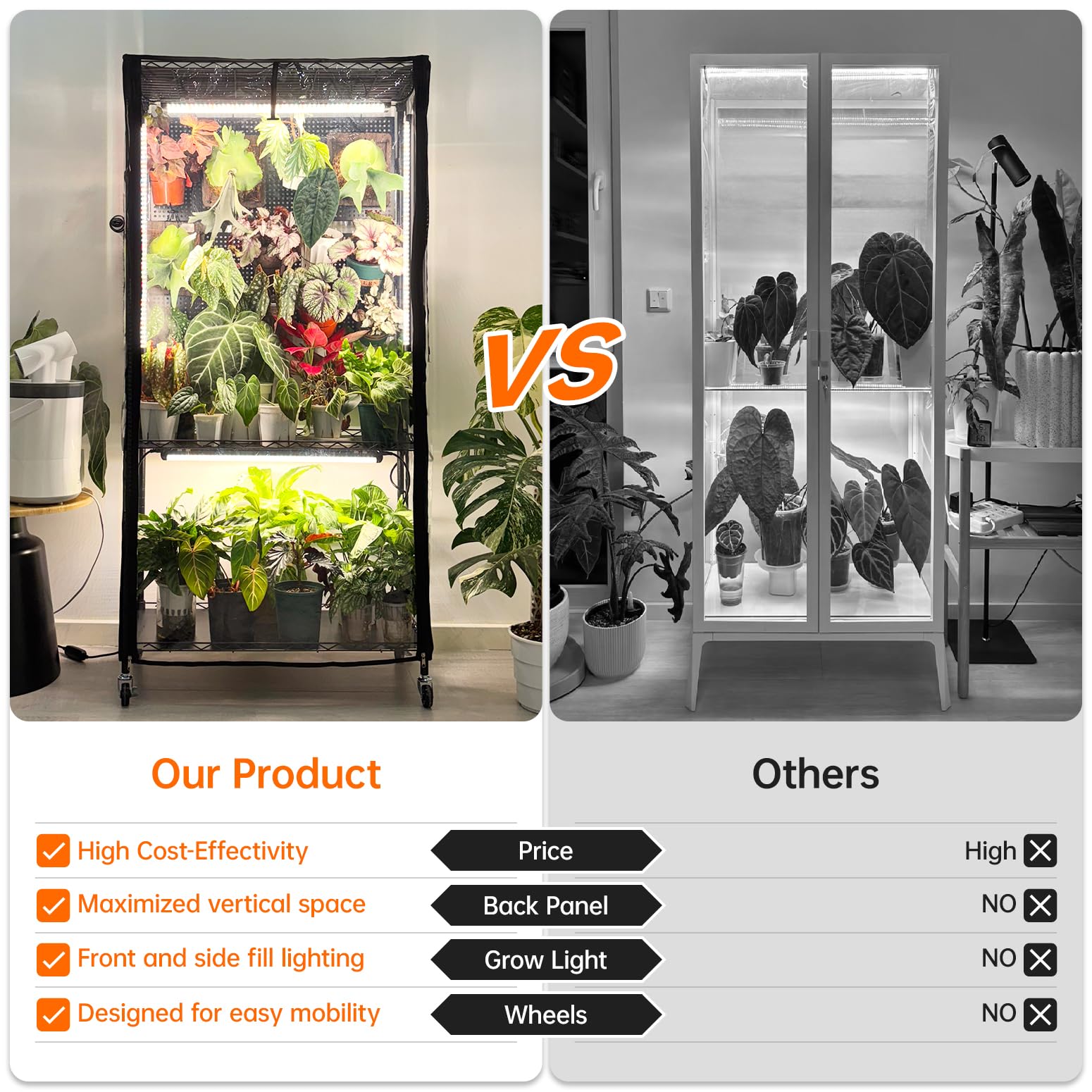Bstrip in use with plants displaying lush foliage and optimized indoor growth